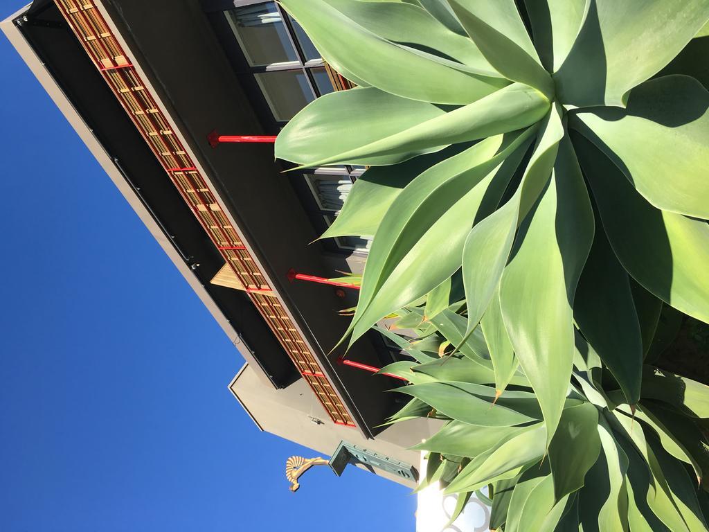 Dive Hotel Sydney Esterno foto